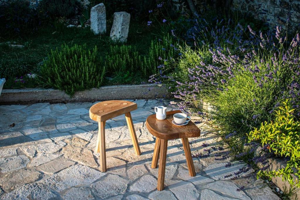 Mala Cista Stone House Kula Milicaヴィラ エクステリア 写真